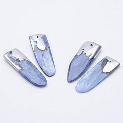 Quartz Natural Kyanite/Cyanite/Disthene Big Pendants, with Brass, Platinum, 30~60x10~18x2~5mm, Hole: 1~2mm, 2pcs/box