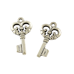Античное Серебро Тибетском стиле сплава Skeleton Key подвески, без кадмия и без свинца, античное серебро, 23x12x2 мм, отверстие : 1.5 мм, Около 500 шт / 500 г