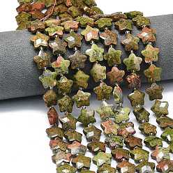 Унакит Природные Unakite бисер нитей, граненые, звезда, с бисером, 13~14.5x14~14.5x5.5~6 мм, отверстие : 1.2 мм, около 27 шт / нитка, 15.55'' (39.5 см)