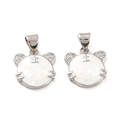 Платина Натуральные раковины, с прозрачным фианитом и фурнитурой из латуни, долговечный, тигр, платина, 13.5x13.5x3 мм, отверстие : 5x3.5 мм