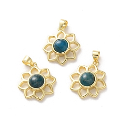 Апатит Натуральный апатит подвеска, стойка покрытие золотистый тон латунные подвески, долговечный, без свинца и без кадмия, цветок, 18x16x5~5.5 мм, отверстие : 3.5x3 мм