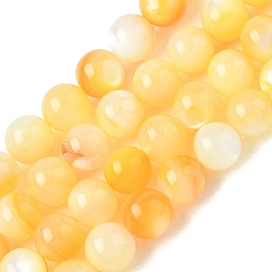 Gold Natural Yellow Shell Beads Strands, Smooth Round, Gold, 8mm, Hole: 1mm, about 49pcs/strand, 14.96 inch(38cm)