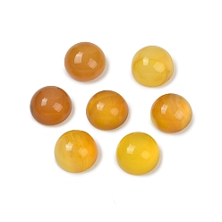 Желтый Агат Кабошоны из натурального желтого агата, окрашенная и подогревом, полукруглые / купольные, 8x4.5 мм
