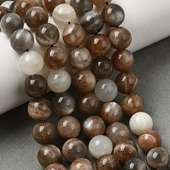 Multi-Moonstone Нити из натуральных бусин из нескольких лунных камней, бусины из лунного и солнечного камня, круглые, 10~11 мм, отверстие : 1 мм, около 39 шт / нитка, 15.7 дюйм