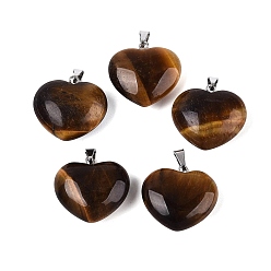 Тигровый глаз Природных тигровый глаз подвески, сердце прелести, с защелкой из нержавеющей стали на поручнях, цвет нержавеющей стали, 21~24x22~24x8.5~11.5 мм, отверстие : 6.5~7.5x2~3 мм