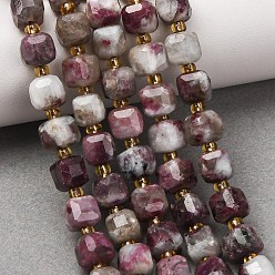 Tourmaline Natural Plum Blossom Tourmaline Beads Strands, Faceted Table Cut Cube Beads, with Seed Beads, 6~7.5x6~7.5x6~7.5mm, Hole: 0.8~1mm, about 44~46pcs/strand, 14.37~15.35''(36.5~39cm)