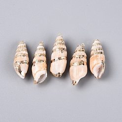 Фора Подвески из натуральных ракушек с гальваническим покрытием, подвески в форме ракушек, с латунными петлями, золотые, оранжевые, 41~46x14~17x14~17 мм, отверстие : 1.5~1.8 мм