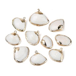 Морская Ракушка Подвески из натуральных морских ракушек, покрытые гальваническим способом, подвески в форме ракушек с золотистыми железными петлями, цвет морской раковины, 16.5~23.5x19~26x4.5~7.5 мм, отверстие : 1.2~1.8 мм