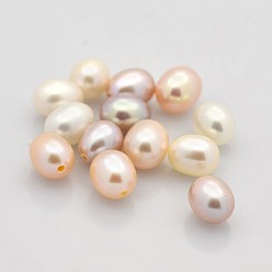 Mixed Color Natural Cultured Freshwater Pearl Beads, Half Drilled, Rice, Grade AAA, Mixed Color, 8x6~6.5mm, Hole: 1mm