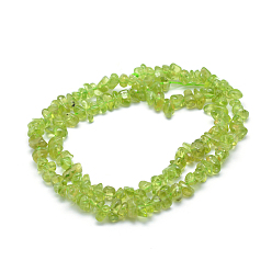 Peridot Natural Peridot Beads Strands, Chip, 5~7mm, Hole: 0.8mm, about 16 inch(40.6cm)