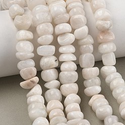 Rainbow Moonstone Бусины из натурального радужного лунного камня, чип, 9~10x8~9x4~5 мм, отверстие : 0.7 мм, около 62 шт / нитка, 15.75'' (40 см)