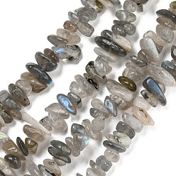 Labradorite Natural Labradorite Beads Strands, Chip, 5~8mm, Hole: 1mm, about 33 inch(84cm)