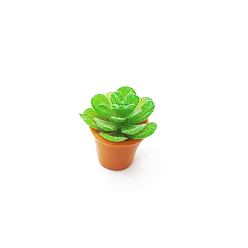 Lima Mini adornos de plantas suculentas artificiales de resina, bonsái en miniatura, para casa de muñecas, decoración de exhibición casera, cal, 13x23 mm