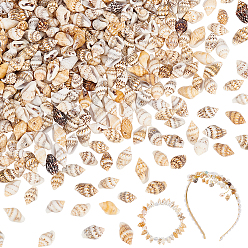 Бледно-Золотистый 200g подвески из натуральной спиральной ракушки, подвески в форме ракушек, бледно золотарник, 13~19x6~10x6~7 мм, отверстие : 1 мм