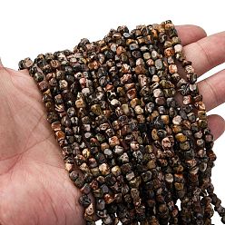 Леопардовая Яшма Натуральные леопардовые шкурки из яшмы, самородки, 5~9x4~6x3~4.5 мм, отверстие : 0.7 мм, около 75~89 шт / нитка, 15.35'' (39 см) ~ 15.94'' (40.5 см)