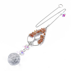 Red Agate Натуральный красный агат большие кулоны, с платино-латунным удлинителем цепи и фурнитурой, гальваническое стекло плоское круглое и цветочное, прозрачный цвет AB, слеза с древом жизни, 155 мм, отверстие : 3.5 мм