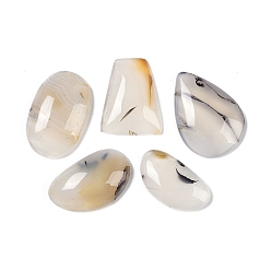 Natural Agate Natural Agate Cabochons, 31~45.5x17.5~24x6.5~7.5mm