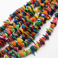 Colorful Dyed Chip Natural Freshwater Shell Beads Strands, Shell Shards, Colorful, 7~14x1~5mm, Hole: 1mm, about 29.9 inch