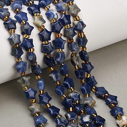 Содалитовое Природный содалит бисер нитей, толстая звезда, с бисером, 7~8x7~8x4 мм, отверстие : 1 мм, около 45 шт / нитка, 14.96'' (38 см)