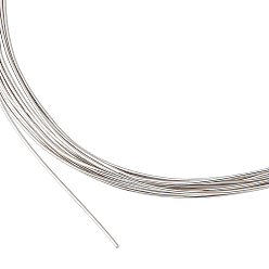 Platinum 1 Roll 925 Sterling Silver Wire, Round, Half Hard, Platinum, 0.3mm, about 6.56 Feet(2m)/roll