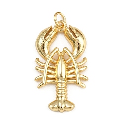 Золотой Латунные подвески, омар, с целью перехода в кольце, золотые, 29x16.5x3.5 мм, отверстие : 3 мм