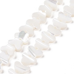 White Natural Trochus Shell Beads Strands, Butterfly, White, 6x9x2.5mm, Hole: 0.8mm, about 68pcs/strand, 15.28''(38.8cm)