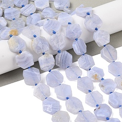 Синий Кружевый Агат Натуральный голубой кружевной агат бисер нитей, шестиугольник, 14~16x13~15.5x3~5.5 мм, отверстие : 1 мм, около 26 шт / нитка, 15.75 дюйм (40 см)