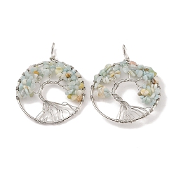 Flower Amazonite Большие подвески из натуральных цветов амазонита, с платиновой и латунной фурнитурой, долговечный, без свинца и без кадмия, плоские круглые с деревом, 62x49x6~13 мм, отверстие : 7x4 мм