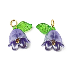 Темная Орхидея Акриловые подвески, с золотыми латунными петлями, жемчужина с ландышем, темные орхидеи, 13~13.5x10~11.5 мм, отверстие : 2.5~3 мм