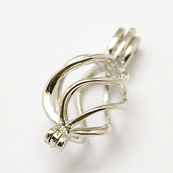 Платина Латунные диффузор Locket подвески, подвески для клеток, слеза, без кадмия, без никеля и без свинца, платина, 22x11x10 мм, отверстия: 2x4 mm, Внутренний размер: 11x12 mm