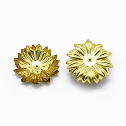 Без Покрытия Шапочки и конусы для бусин, латунные, цветок, сырой (без покрытия), 30x12 мм, отверстие : 0.8 мм