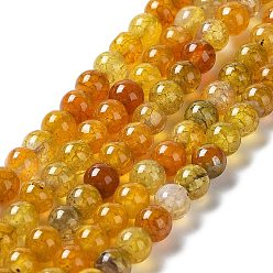 Агат с Узором Драгона Естественно дракон жил агата круглый шарик нити, окрашенные, 6 мм, отверстие : 1 мм, около 63 шт / нитка, 14.5~15 дюйм