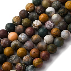 Океанический Джаспер Натуральный океанский агат, матовые, круглые, 10 мм, отверстие : 1 мм, около 38 шт / нитка, 14.9 дюйм (38 см)