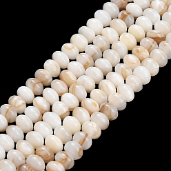 Seashell Color Natural Freshwater Shell Beads Strands, Rondelle, Seashell Color, 6x4mm, Hole: 0.5mm, about 97pcs/strand, 15.43 inch(39.2cm)