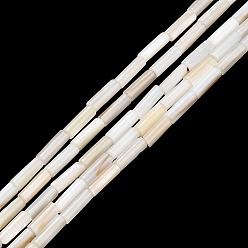 Color de la concha Cuentas de concha de perla natural hebras, columna, color de concha, 6~6.5x2 mm, agujero: 0.4 mm, sobre 62 unidades / cadena, 15.28 pulgada (38.8 cm)