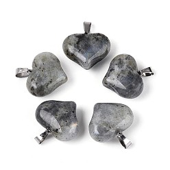 Лабрадорита Природные подвески лабрадорита, Подвески в форме сердца с железными защелками., платина, 21.5~22x25~25.5x10.5~11 мм, отверстие : 7.5x3.5 мм