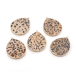 Dalmatian Jasper Natural Dalmatian Jasper Pendants, with Brass Findings, Teardrop, Golden, 42~44x33~35x2.5mm, Hole: 2mm