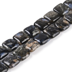 Glaucophane Бусы из натурального глаукофана, квадратный, 12x12x5 мм, отверстие : 1 мм, около 34 шт / нитка, 15.75 дюйм (40 см)