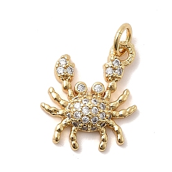 Краб Латунные микро проложить кубического циркония подвески, без кадмия и без свинца, стойки покрытие, долговечный, реальный 18 k позолоченный, с целью перехода в кольце, краб, 15.5x13.5x3.5 мм, отверстие : 3.5 мм