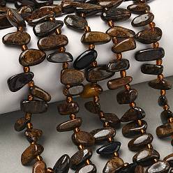 Бронзит Природные бронзитом бисер нитей, чип, Топ пробуренной, с бисером, 7~20x3~8x3~6 мм, отверстие : 1.2 мм, около 52~53 шт / нитка, 14.96''~15.55'' (38~39.5 см)