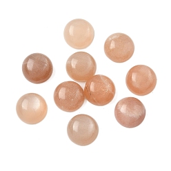 Peach Moonstone Натуральный персиковый лунный камень кабошоны, полукруглые / купольные, 9.5~10.5x4.5~5.5 мм