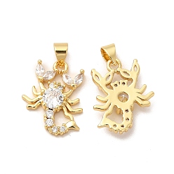 Настоящее золото 18K Стойка металлическая латунная микропрофилированная кубическая циркония подвески, без кадмия и без свинца, долгоиграющий, скорпион, реальный 18 k позолоченный, 19x15x4 мм, отверстие : 3x5 мм