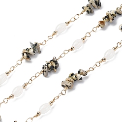 Далматинских Джаспер Латунные цепные цепи, со стеклянными и далматинскими яшмовыми бусинами, долговечный, пайки, с катушкой, золотые, 20x4.5 мм, около 16.40 футов (5 м) / рулон