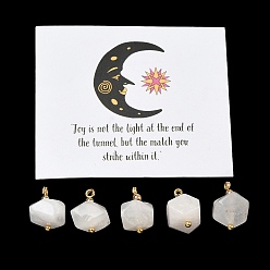 Rainbow Moonstone 5шт. подвески из натурального радужного лунного камня, Ограненные самородки в виде подвесок с латунными петлями, золотые, 14~15x12~14x12~14 мм, отверстие : 1.4~1.5 мм
