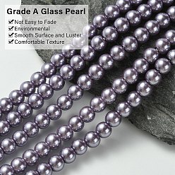 Medium Purple Eco-Friendly Dyed Glass Pearl Round Beads Strands, Grade A, Cotton Cord Threaded, Medium Purple, 6mm, Hole: 0.7~1.1mm, about 72pcs/strand, 15 inch
