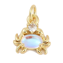 Настоящее золото 18K Стойки обшивки латунные подвески, с кубического циркония, крабовые прелести, долговечный, без свинца и без кадмия, с целью перехода в кольце, реальный 18 k позолоченный, 11.5x10.5x4 мм, отверстие : 3 мм