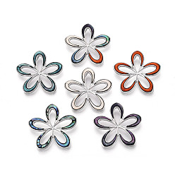 (52) Непрозрачная лаванда Подвески из сплава и окрашенных натуральных раковин морского ушка, , платина, разноцветные, 37~37.5x38.5~39x3.5~4 мм, отверстие : 7.5x3.5~4 мм