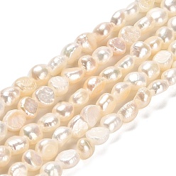 Seashell Color Natural Cultured Freshwater Pearl Beads Strands, Grade AAA, Two Sides Polished, Seashell Color, 5.5~6.5x4~5mm, Hole: 0.5mm, about 62pcs/strand, 14.17~14.37''(36~36.5cm)
