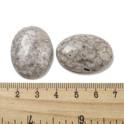 Maifanite Natural Maifanite Cabochons, Oval, 30x21.5~22x5~8.5mm