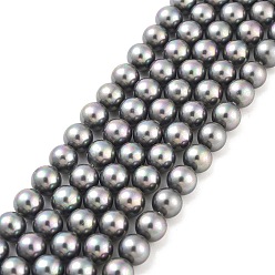 Gris Shell hebras de perlas de cuentas, arco iris chapado, Grado A, rondo, gris, 8 mm, agujero: 1 mm, sobre 51 unidades / cadena, 16 pulgada